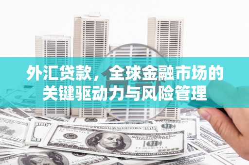 大余外汇贷款，全球金融市场的关键驱动力与风险管理