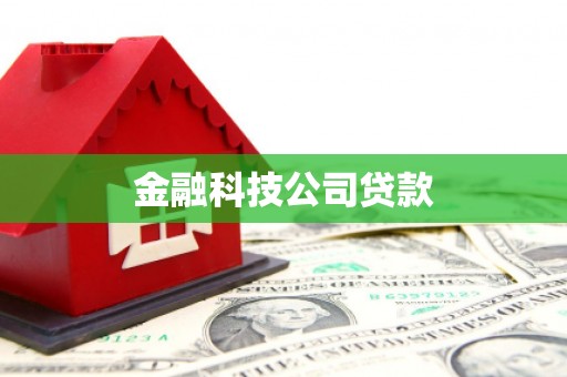 大余金融科技公司贷款
