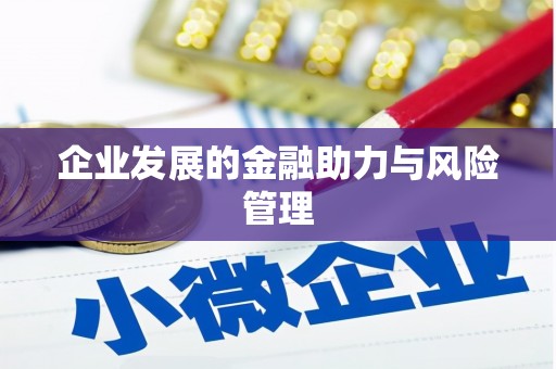 大余企业发展的金融助力与风险管理