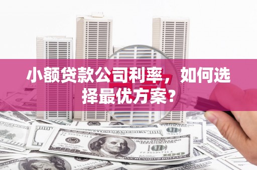 大余小额贷款公司利率，如何选择最优方案？
