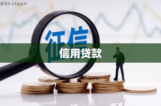 大余信用贷款