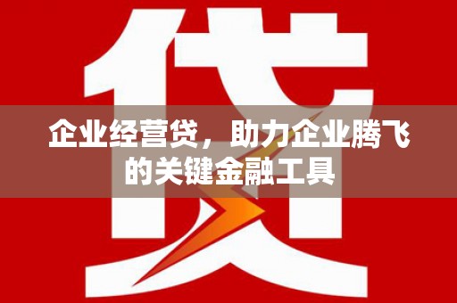 大余企业经营贷，助力企业腾飞的关键金融工具