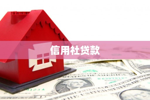 大余信用社贷款