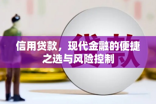 大余信用贷款，现代金融的便捷之选与风险控制