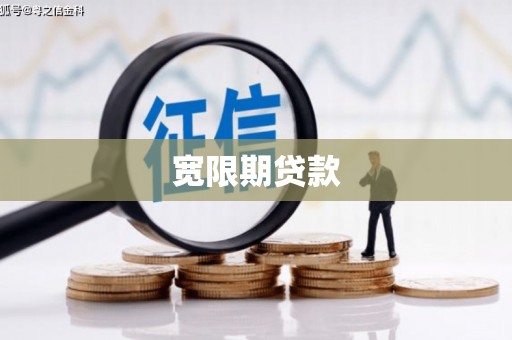 大余宽限期贷款