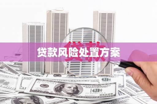 大余贷款风险处置方案