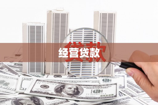 大余经营贷款