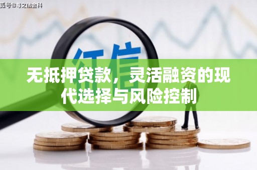 大余无抵押贷款，灵活融资的现代选择与风险控制