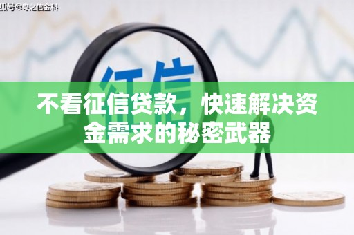 大余不看征信贷款，快速解决资金需求的秘密武器