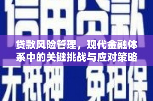 大余贷款风险管理，现代金融体系中的关键挑战与应对策略
