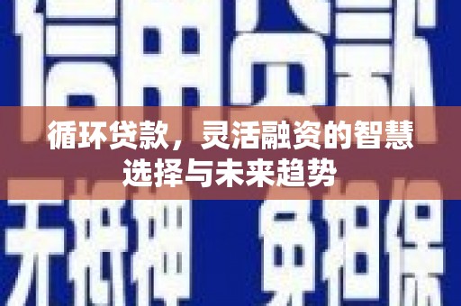 大余循环贷款，灵活融资的智慧选择与未来趋势