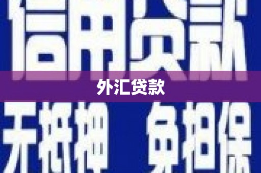 大余外汇贷款