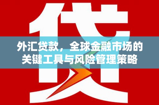大余外汇贷款，全球金融市场的关键工具与风险管理策略