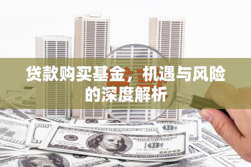 大余贷款购买基金，机遇与风险的深度解析