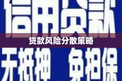 大余贷款风险分散策略
