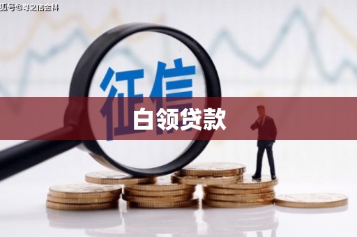 大余白领贷款