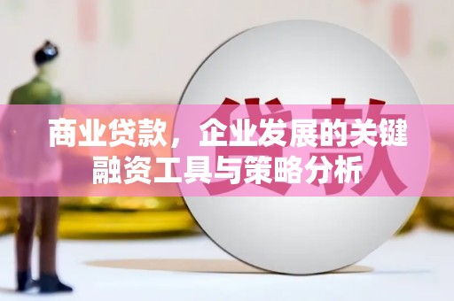 大余商业贷款，企业发展的关键融资工具与策略分析