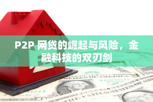 大余P2P 网贷的崛起与风险，金融科技的双刃剑