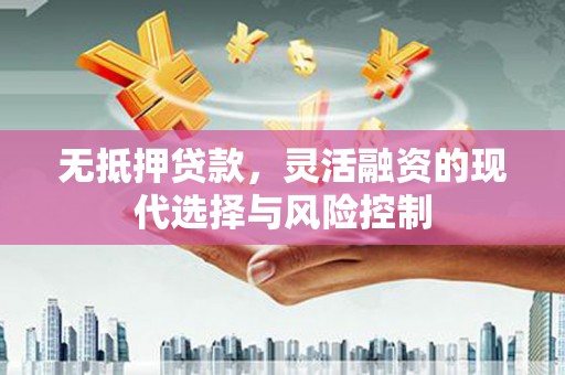 大余无抵押贷款，灵活融资的现代选择与风险控制