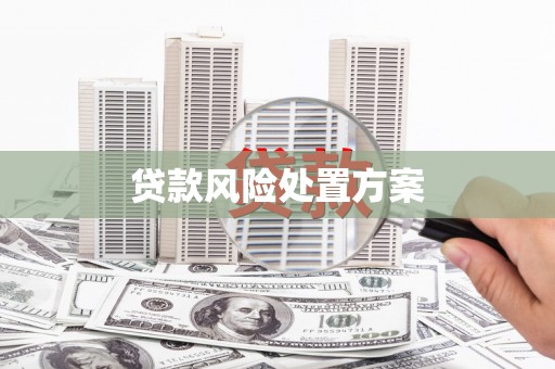 大余贷款风险处置方案