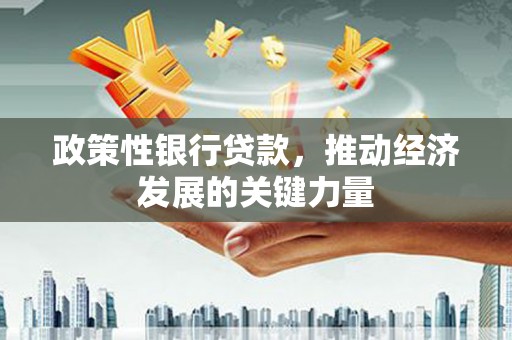 大余政策性银行贷款，推动经济发展的关键力量