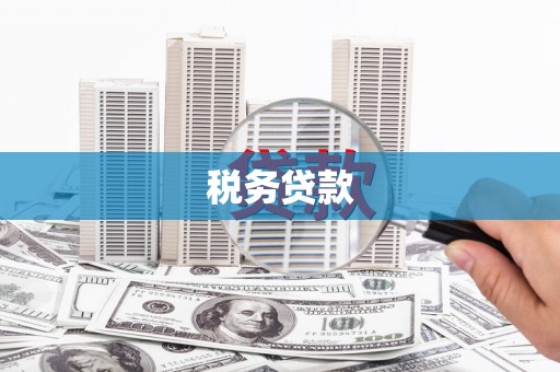 大余税务贷款
