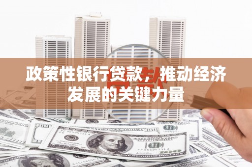 大余政策性银行贷款，推动经济发展的关键力量