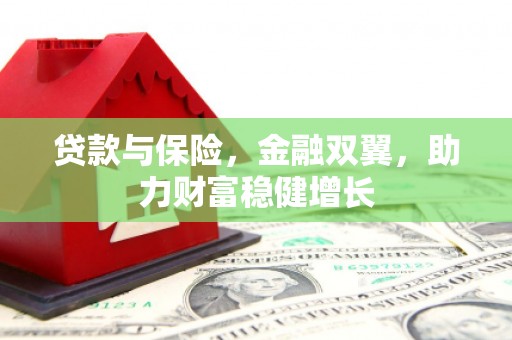 大余贷款与保险，金融双翼，助力财富稳健增长
