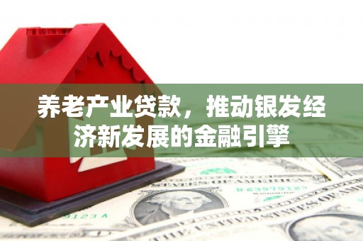 大余养老产业贷款，推动银发经济新发展的金融引擎