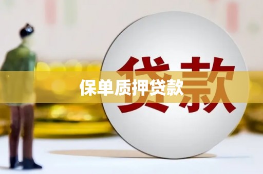 大余保单质押贷款