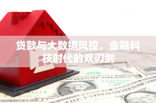 大余贷款与大数据风控，金融科技时代的双刃剑