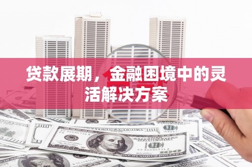 大余贷款展期，金融困境中的灵活解决方案