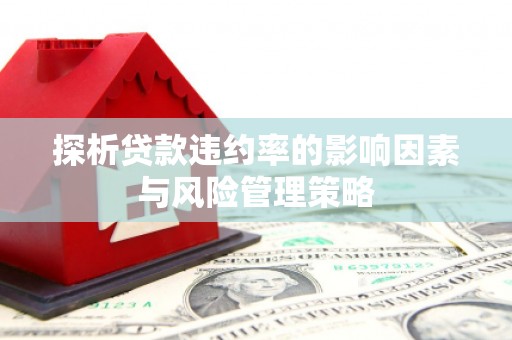 大余探析贷款违约率的影响因素与风险管理策略