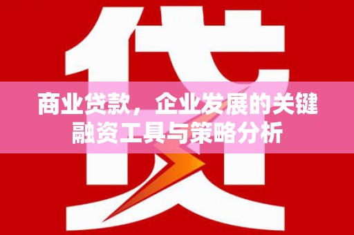 大余商业贷款，企业发展的关键融资工具与策略分析