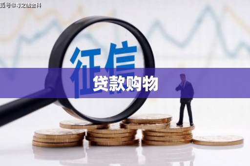大余贷款购物