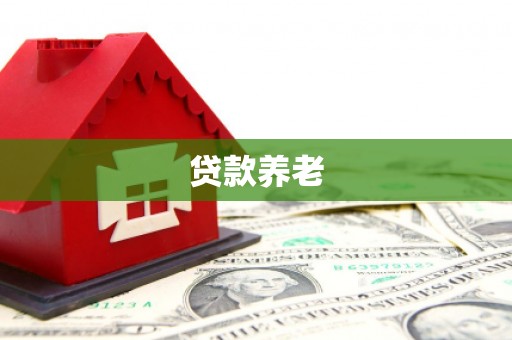 大余贷款养老