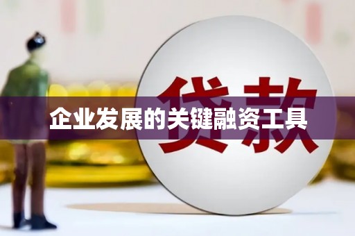 大余企业发展的关键融资工具