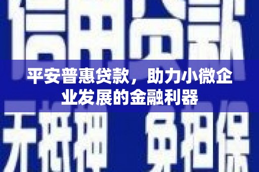 大余平安普惠贷款，助力小微企业发展的金融利器