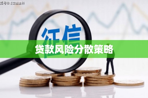 大余贷款风险分散策略