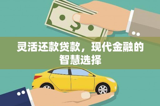 大余灵活还款贷款，现代金融的智慧选择