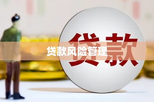 大余贷款风险管理