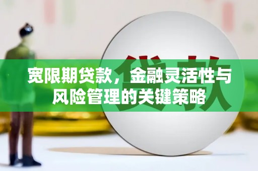 大余宽限期贷款，金融灵活性与风险管理的关键策略