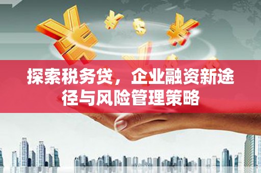 大余探索税务贷，企业融资新途径与风险管理策略