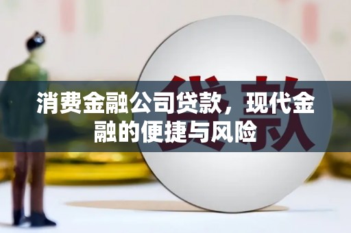 大余消费金融公司贷款，现代金融的便捷与风险