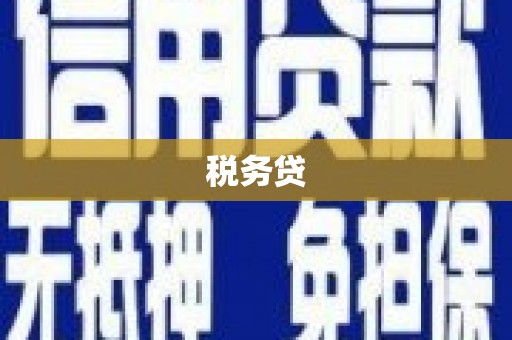大余税务贷