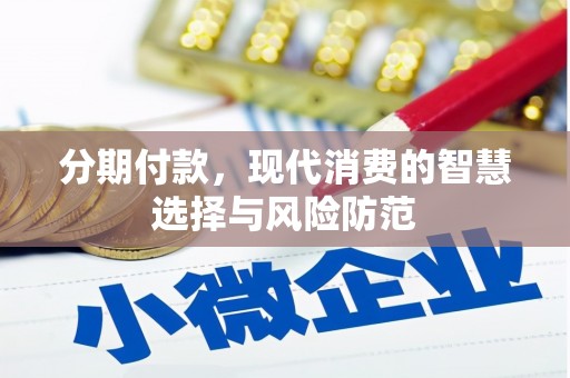 大余分期付款，现代消费的智慧选择与风险防范
