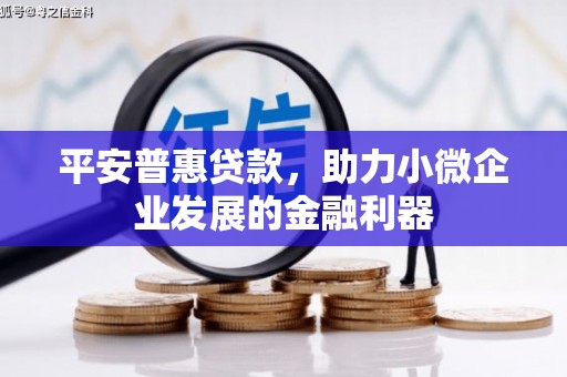 大余平安普惠贷款，助力小微企业发展的金融利器