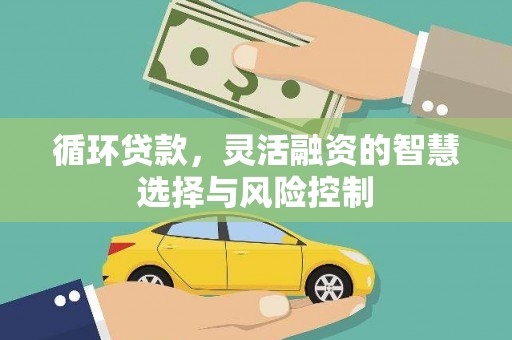 大余循环贷款，灵活融资的智慧选择与风险控制