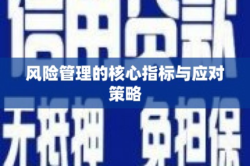 大余风险管理的核心指标与应对策略
