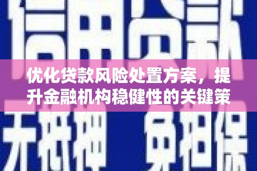 大余优化贷款风险处置方案，提升金融机构稳健性的关键策略